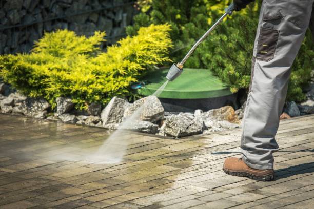 Best Gutter Cleaning  in Mount Pleasant, TX